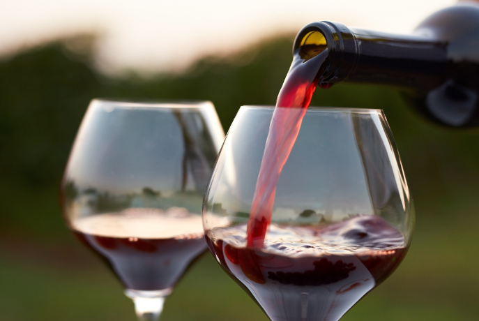 The Ultimate Guide to Bogle Merlot Wine: A Tasting Journey